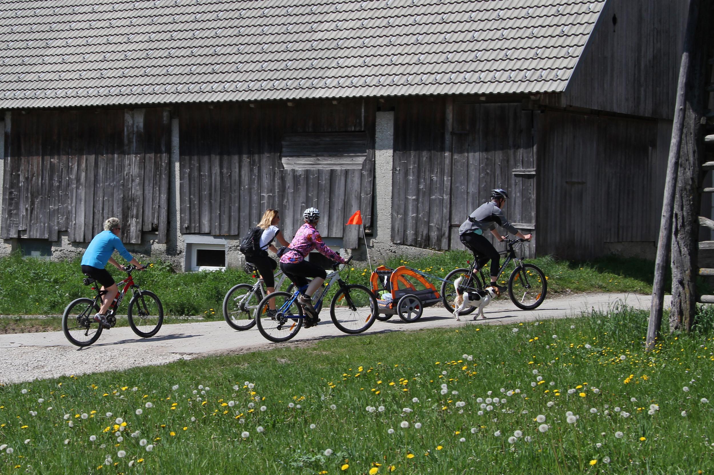 บอฮินจ์ อีโค โฮเต็ล 4 สตาร์+ Hotel Bohinjska Bistrica ภายนอก รูปภาพ