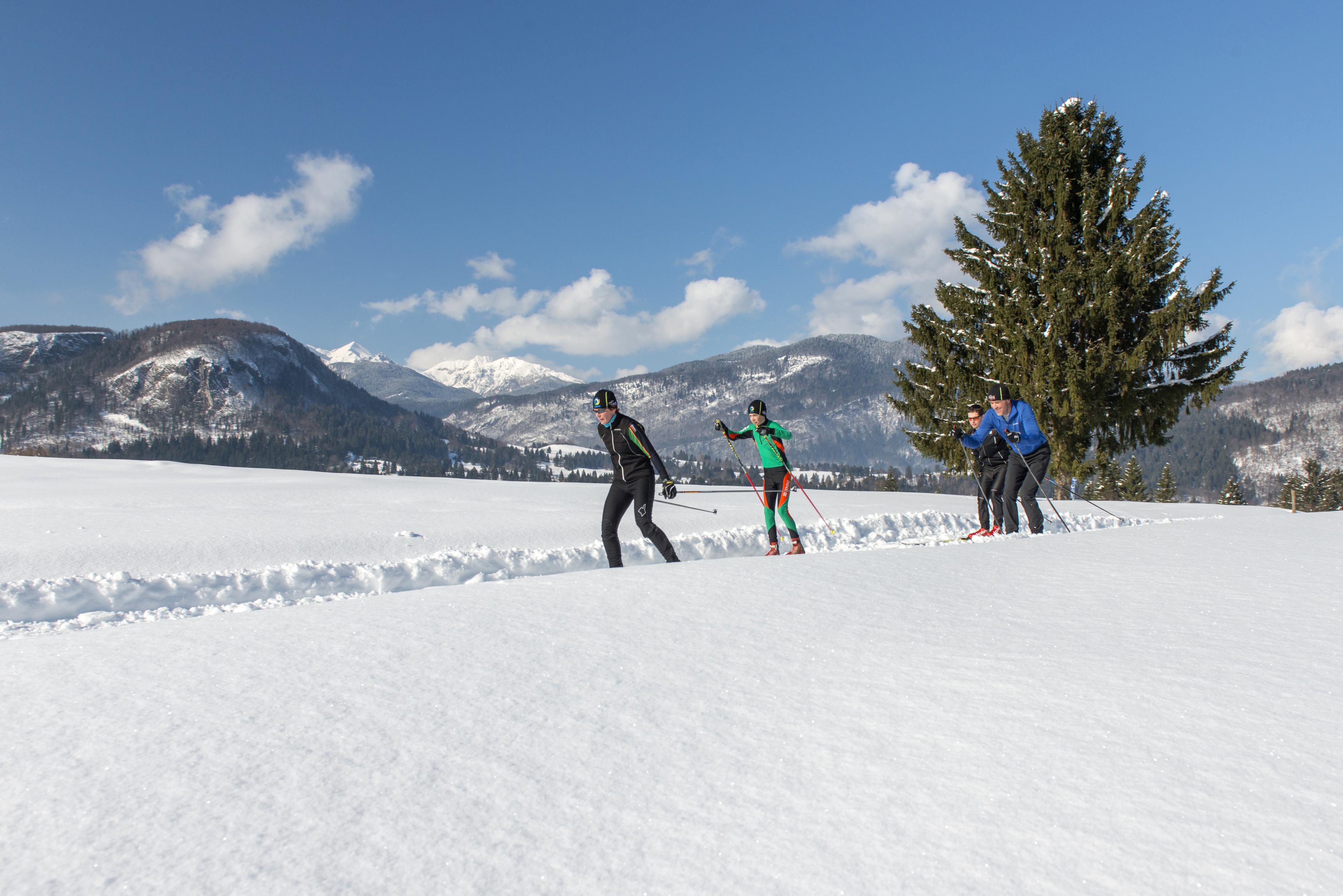 บอฮินจ์ อีโค โฮเต็ล 4 สตาร์+ Hotel Bohinjska Bistrica ภายนอก รูปภาพ